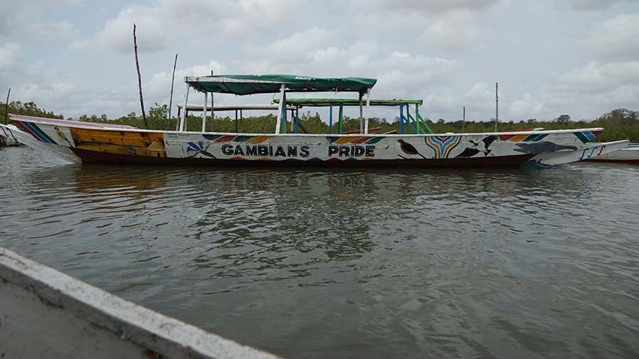 Visit the crocodile pond